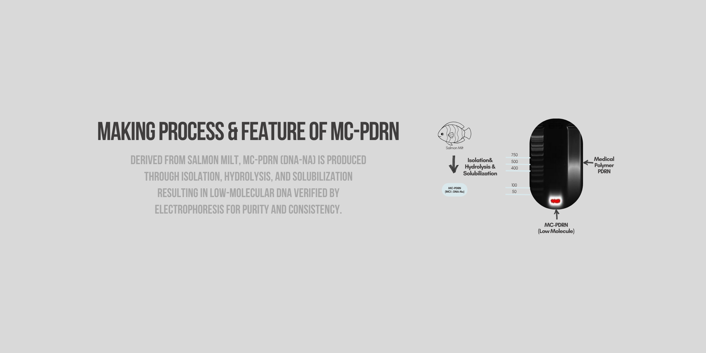 YURSLF making process mc-pdrn
