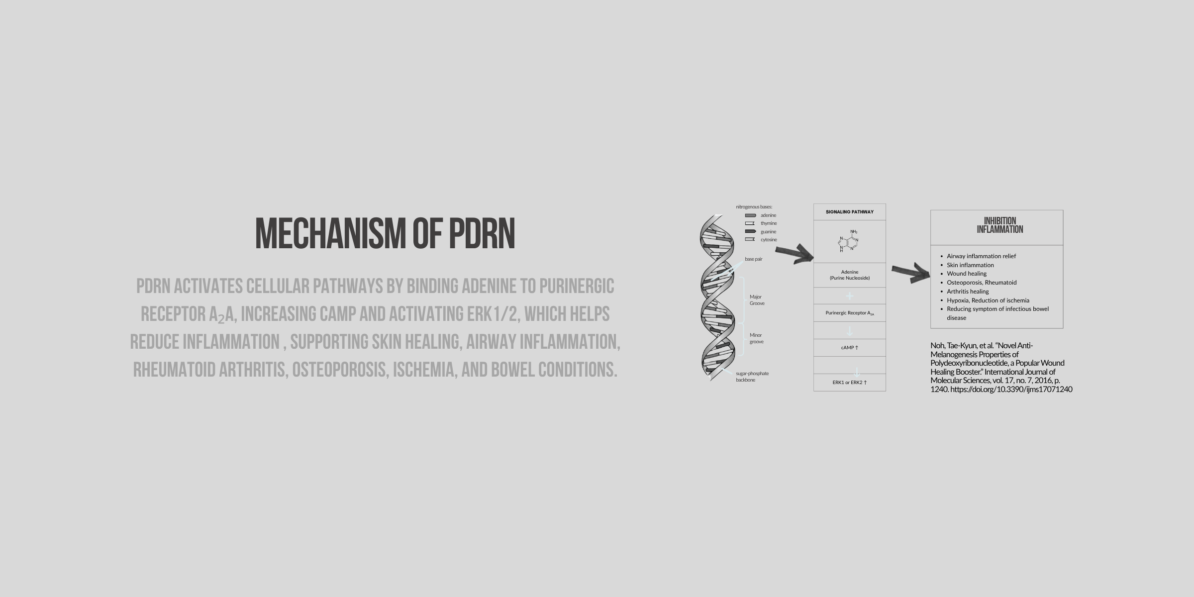 pdrn mechanism 