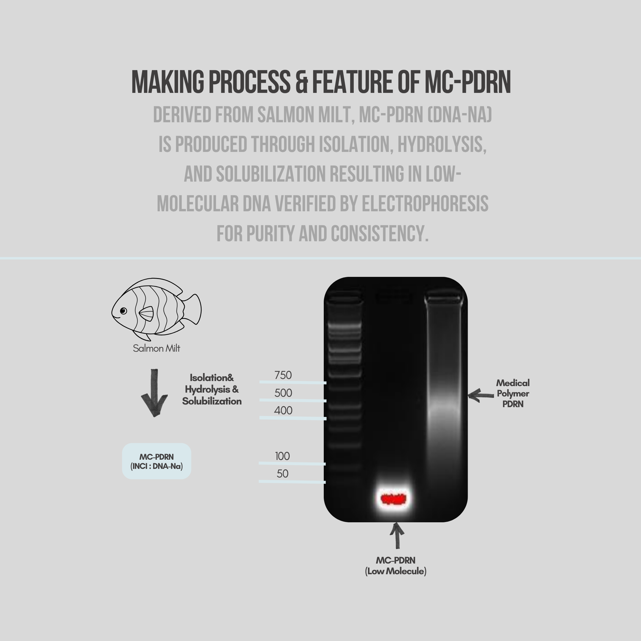 YURSLF process